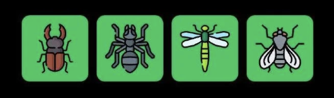 FLIES Daily Combo 14 April 2025